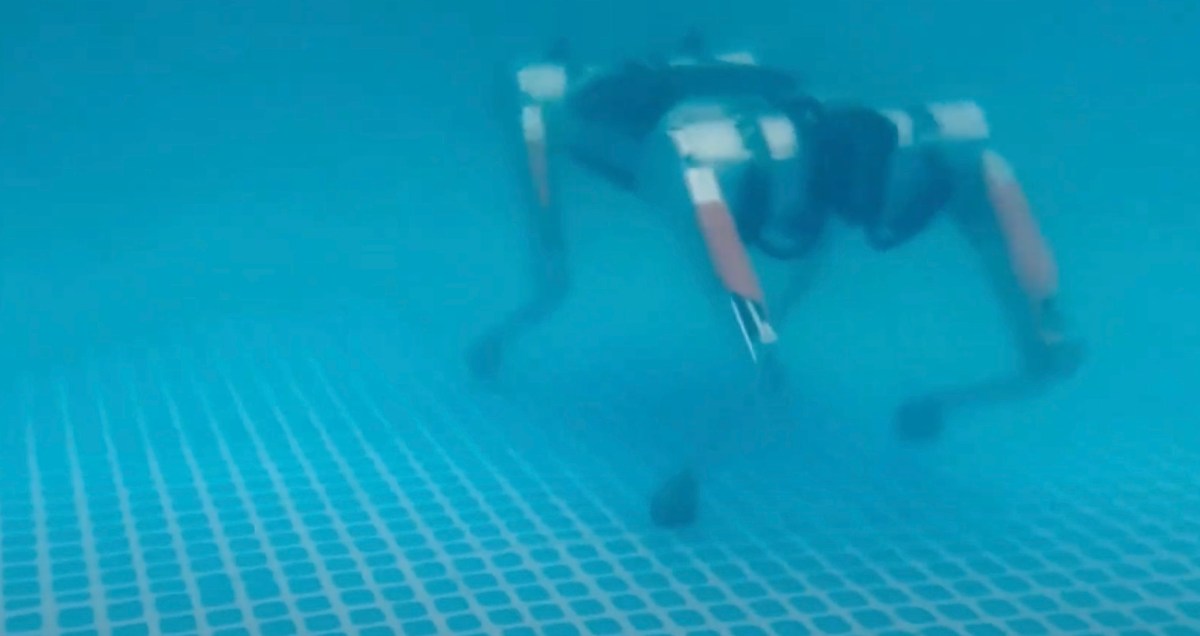 Watch a robot dog run under water